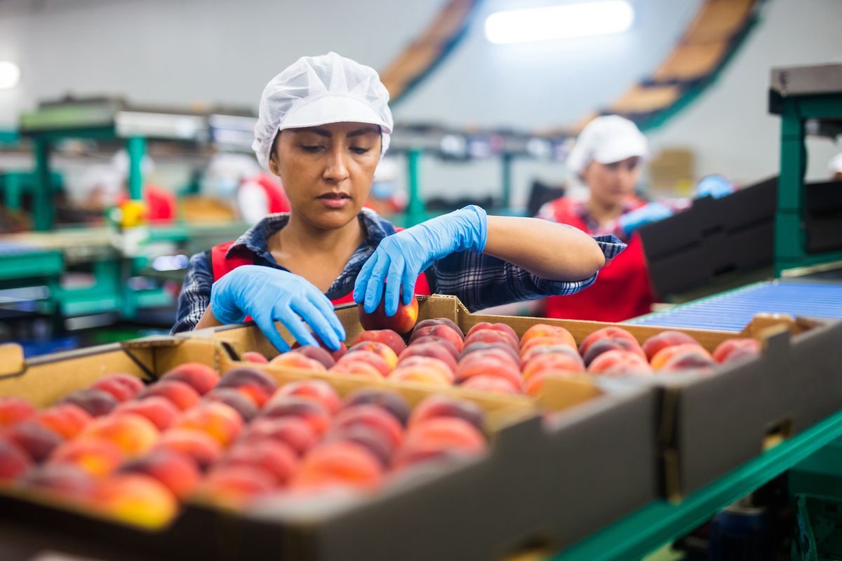 Rastreando o caminho: A certificação de Cadeia de Custódia como pilar essencial para um futuro responsável