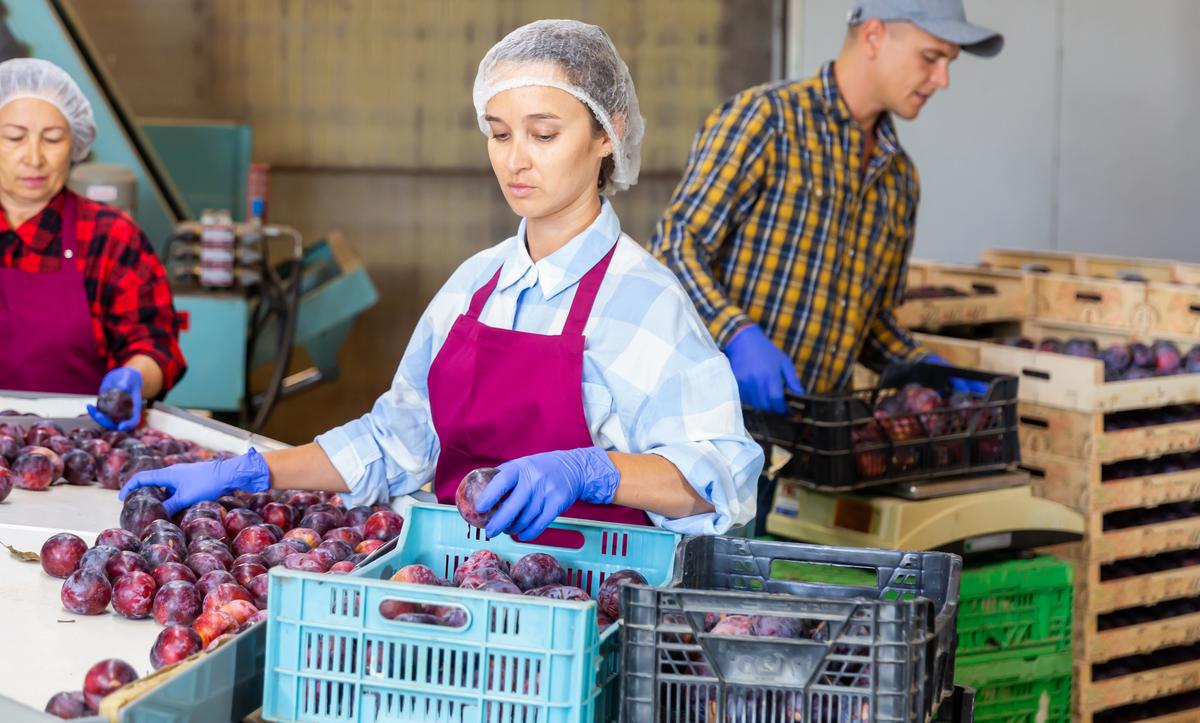 Rastreando o caminho: A certificação de Cadeia de Custódia como pilar essencial para um futuro responsável