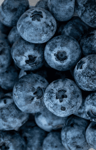 Alimentos e agroalimentos