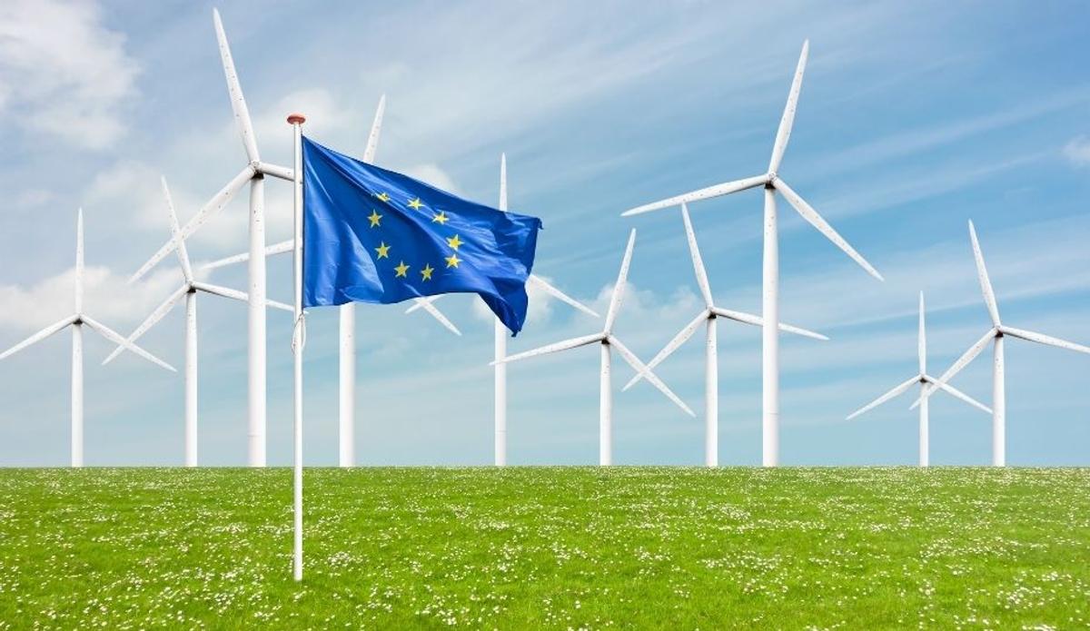 _Banner Image Navigating Recent Updates to the EU Deforestation Regulation