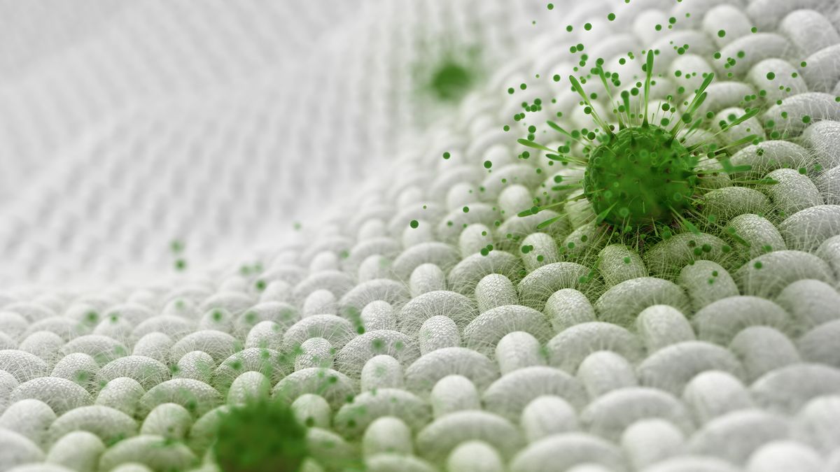 Teste de Tecido Antimicrobiano: Visão Geral dos Métodos de Teste Principais