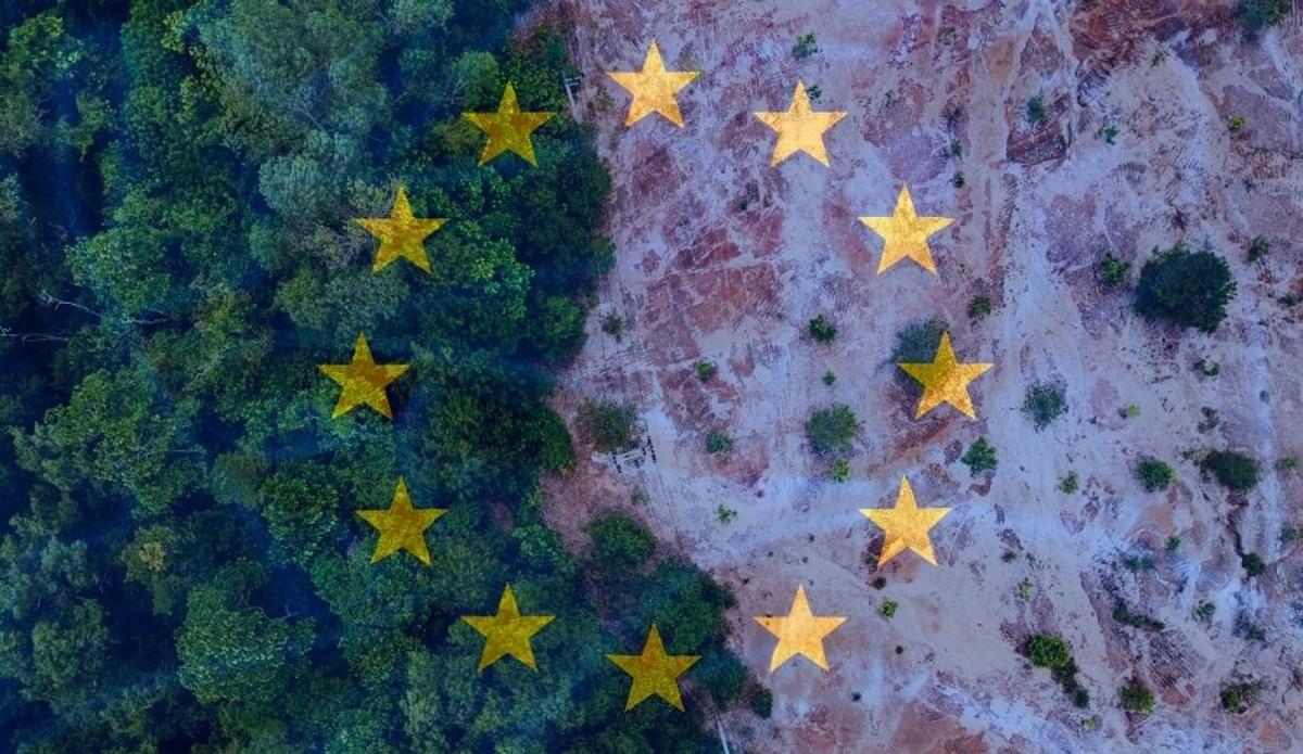 Deforestation aerial photo with EU flag