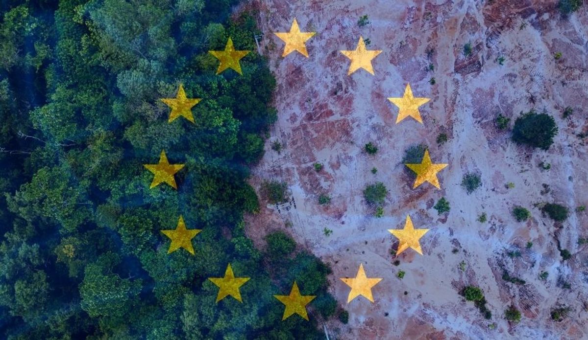 EUDR adiado para 2026/2027: Novo Cronograma, Simplificação e O Que as Empresas Devem Fazer
