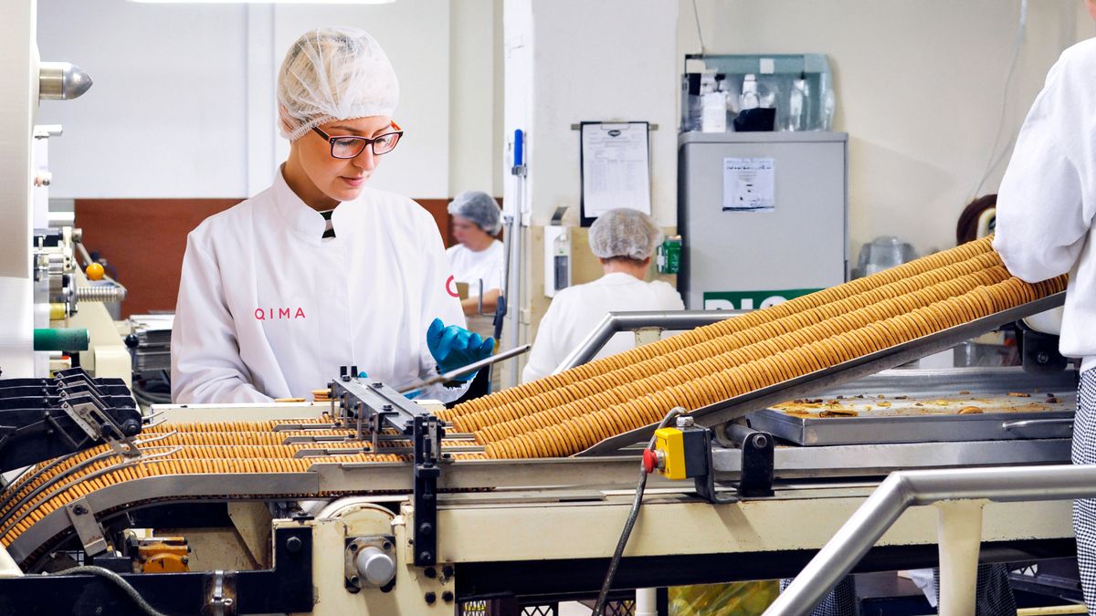 HACCP Passo a Passo: Implementando Segurança e Qualidade na Produção de Alimentos