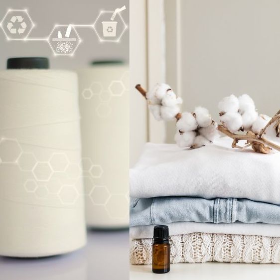 Tính Bền Vững Trong Chuỗi Cung Ứng: Thử Nghiệm Cotton DNA và rPET Tính Bền Vững Trong Chuỗi Cung Ứng: Thử Nghiệm Cotton DNA và rPET